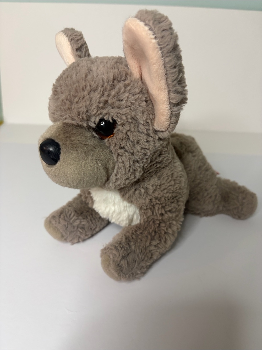 Gabby The Soft French Bulldog